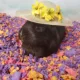 Product carefresh® Special Edition Small Pet Bedding - Beach Party