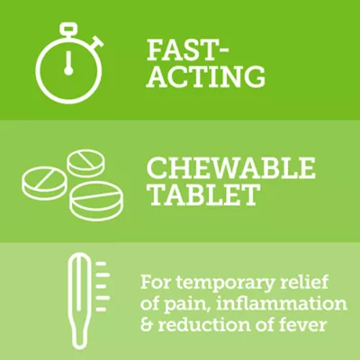 Product Vetality Canine Aspirin for Dogs - Pain Relief - Chewable Tablets