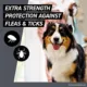 Product Frontline Shield Extra Strength Flea & Tick Spot Treatment for Dogs 41-80 Lbs