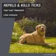Product Frontline Shield Extra Strength Flea & Tick Spot Treatment for Dogs 81-120 Lbs
