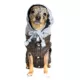 Product Hip Doggie Vintage Bomber Pet Jacket