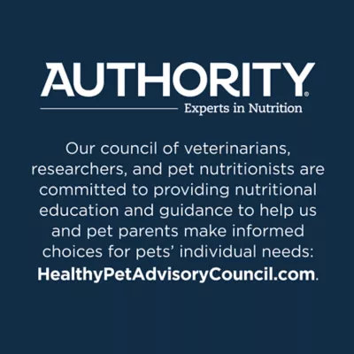 Product Authority® Digestive Support Cat Wet Food - 5.5 Oz, Puree, Grain Free