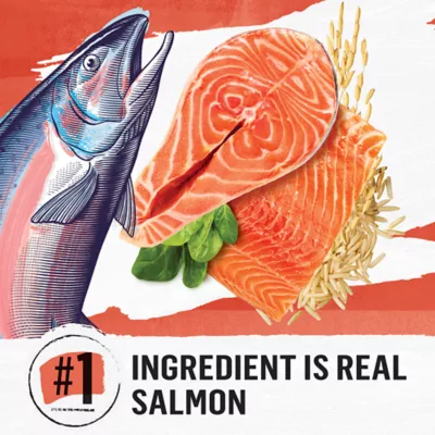 Product Purina® Beyond® Simply Adult Cat Dry Food - Salmon, Probiotics, Corn Free, Wheat Free, Soy Free