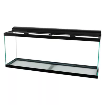 Product Top Fin® LED Aquarium