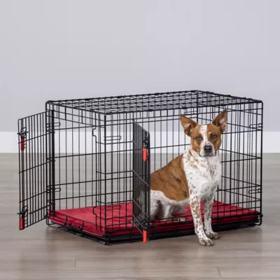 Product KONG® Ultra-Strong Double Door Wire Dog Crate with Divider Panel