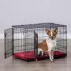 Product KONG® Ultra-Strong Double Door Wire Dog Crate with Divider Panel
