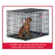 Product KONG® Ultra-Strong Double Door Wire Dog Crate with Divider Panel