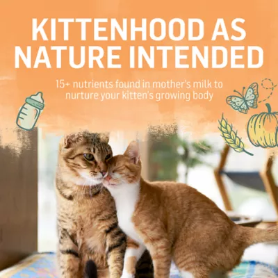 Product Purina® Beyond® Kitten Kitten Cat Dry Food - Chicken, High-Protein, Natural