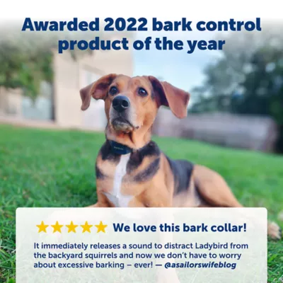 Product PetSafe® Audible Bark Dog Collar - 10 Levels of Safe Correction - Dogs 8 lb + - Waterproof