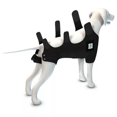 Product Calm Paws Premium Recovery Vest and Calming Disk for Dogs