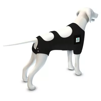 Product Calm Paws Premium Recovery Vest and Calming Disk for Dogs