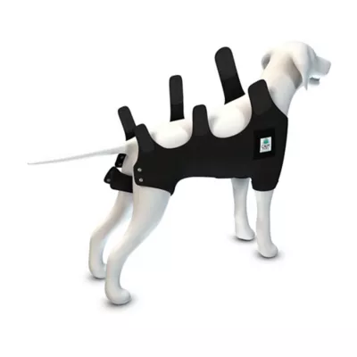 Product Calm Paws Premium Recovery Vest and Calming Disk for Dogs