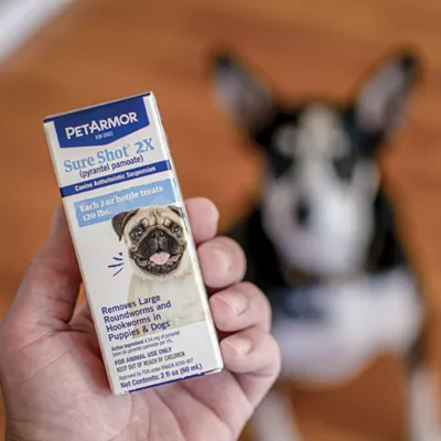 Product PetArmor® Sure Shot 2X Dewormer for Dogs - 2 Fl Oz
