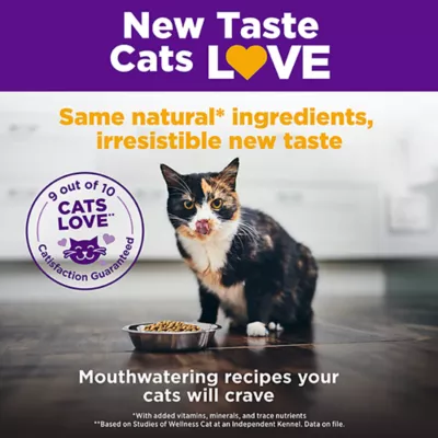 Product Wellness® Complete Health Indoor Adult Cat Dry Food - Natural, Chicken