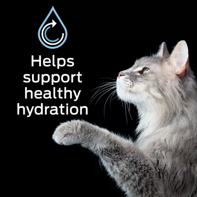 Product Purina® Pro Plan® Hydra Care for Cats - Liver Flavored Liquid Supplement - 12 Count