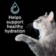 Product Purina® Pro Plan® Hydra Care for Cats - Liver Flavored Liquid Supplement - 12 Count