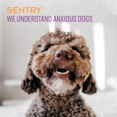 Product Sentry Calming Chews for Dogs - No Wheat, Corn, Soy - 60 ct