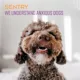 Product Sentry Calming Chews for Dogs - No Wheat, Corn, Soy - 60 ct