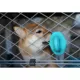 Product Diggs Groove Crate Training Aid - Ice