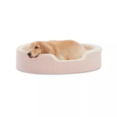 Product Top Paw® Orthopedic Cuddler Striped Dog Bed