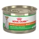 Product Royal Canin Canine Health Nutrition Beauty Adult Loaf in Sauce Wet Dog Food - 5.2 oz Can