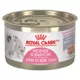 Product Royal Canin Feline Mother & Babycat Ultra Soft Wet Cat Food Health Nutrition - Mousse in Sauce