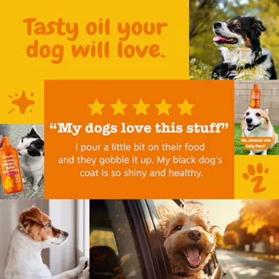 Product Zesty Paws Wild Caught Alaskan Salmon Oil for Dogs & Cats - 8 oz