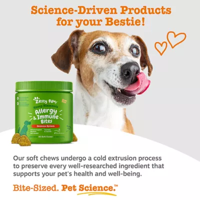 Product Zesty Paws Hemp Elements Allergy & Immune Bites for Dogs - Cheese Flavor - 90 Ct