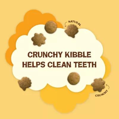 Product Purina® Friskies® Party Mix® Natural Yums Cat Treat - Chicken