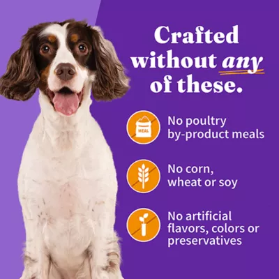 Product Halo Healthy Grains Adult Wet Dog Food - Chicken Recipe in Broth, 5.5 oz