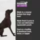 Product Purebites® Squeezables Daily Health Support Dog Food Topper - Gut & Digestion