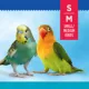 Product All Living Things® Natural Coco Mini Rope Bird Toy