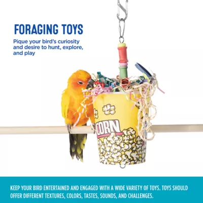 Product All Living Things® Movie Time Popcorn Bird Toy