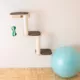 Product Armarkat Wall-Mounted Real Wood 3 Steps Cat Shelves & Perches Kitty Furniture, Natural
