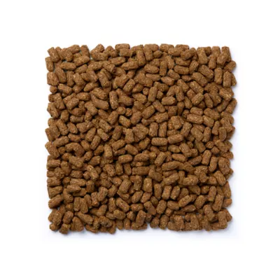 Product Mazuri Low Starch Tortoise Food