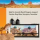 Product Thrive Open Front Desert Reptile Terrarium Essentials Kit - 20G