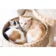 Product PetPals 23-in Paper Rope Hand Woven Condo & Perch Cat Tree, Natural