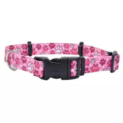 Product Coastal Pet Products Personalized Secure Away Adjustable Flea & Tick Collar Protector