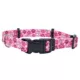 Product Coastal Pet Products Personalized Secure Away Adjustable Flea & Tick Collar Protector
