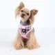 Product Puppia® Junior Over-the-Head Dog Harness