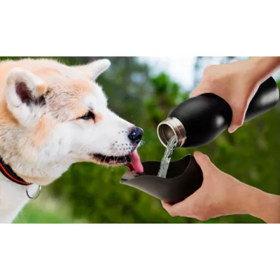 Product Mobile Dog Gear Dog Water Bowl