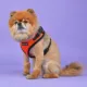 Product Puppia® RiteFit Over-the-Head Dog Harness