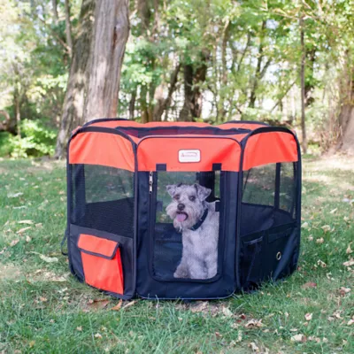 Product Armarkat Smart Portable Foldable Pet Playpen & Carrier Bag for Dog or Cat - 36 in x 36 in x 24 in