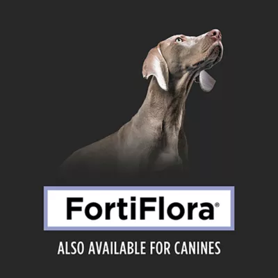 Product Purina Pro Plan Veterinary Supplements Feline Probiotic FortiFlora Powdered Cat Supplement