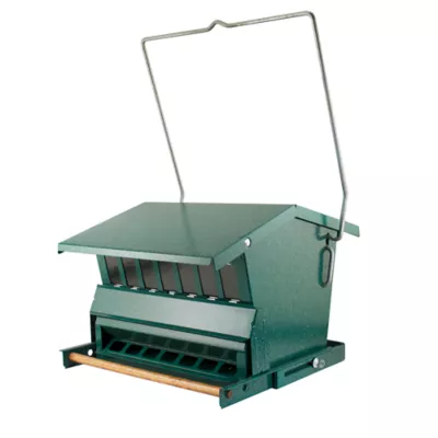 Product Audobon Absolute Anti-Squirrel Bird Feeder