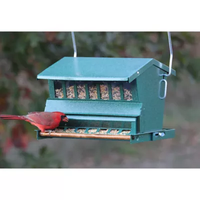 Product Audobon Absolute Anti-Squirrel Bird Feeder