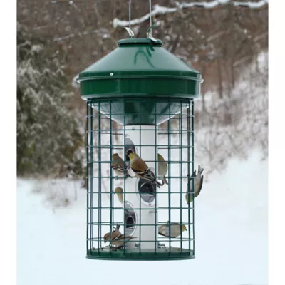 Product Woodlink Squirrel Resistant Cage Bird feeder