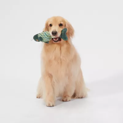 Product Joyhound® Game On Rope Fish with Bone Dog Toy