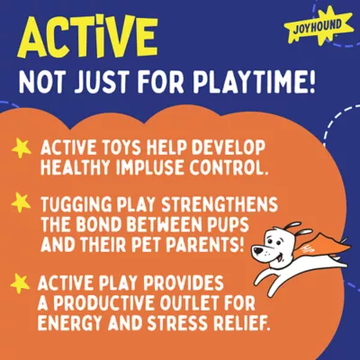 Product Joyhound® Game On Rope Fish with Bone Dog Toy