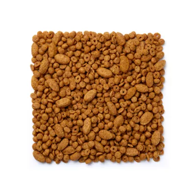 Product Mazuri Large Bird Diet